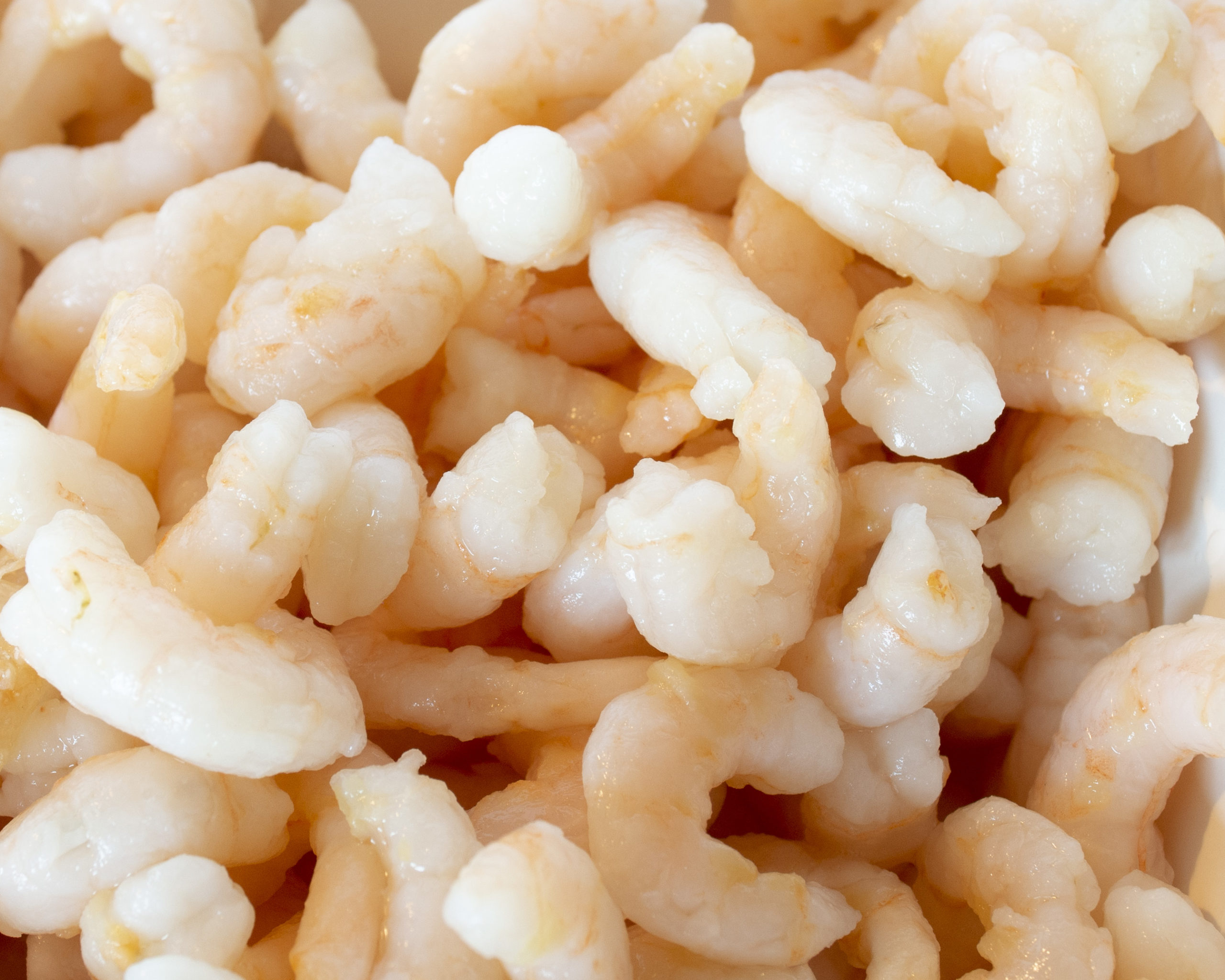 North Atlantic cooked and peeled cold water shrimp